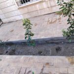 7764a313 5d5e 4f4e Ada3 5b399bdcb61b